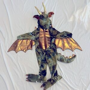 Green Dragon Costume 2T